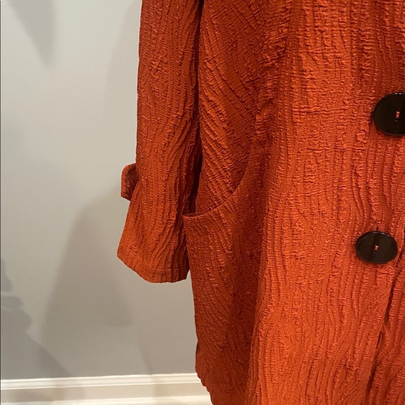 Rusty Orange Textured Coat with Large Buttons and pockets - Picture 3 of 3